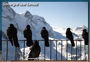 Winterurlaub in der Sonne