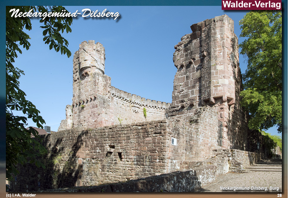 Reiseführer Neckargemünd - Region Neckar-Odenwald 