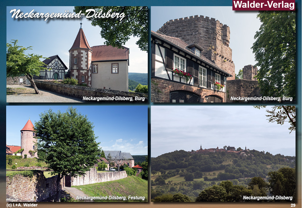 Reiseführer Neckargemünd - Region Neckar-Odenwald 