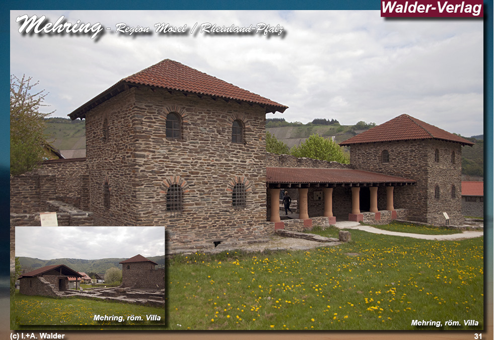 Reiseführer Lieser - Region Moseltal