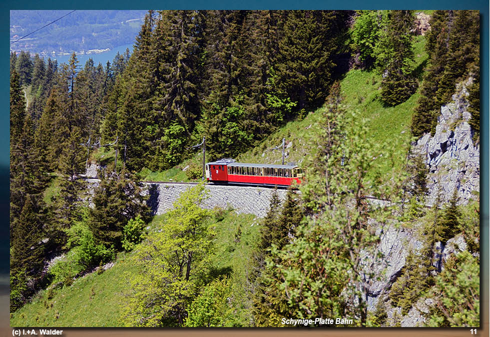 Reiseführer Schynige-Platte-Bahn