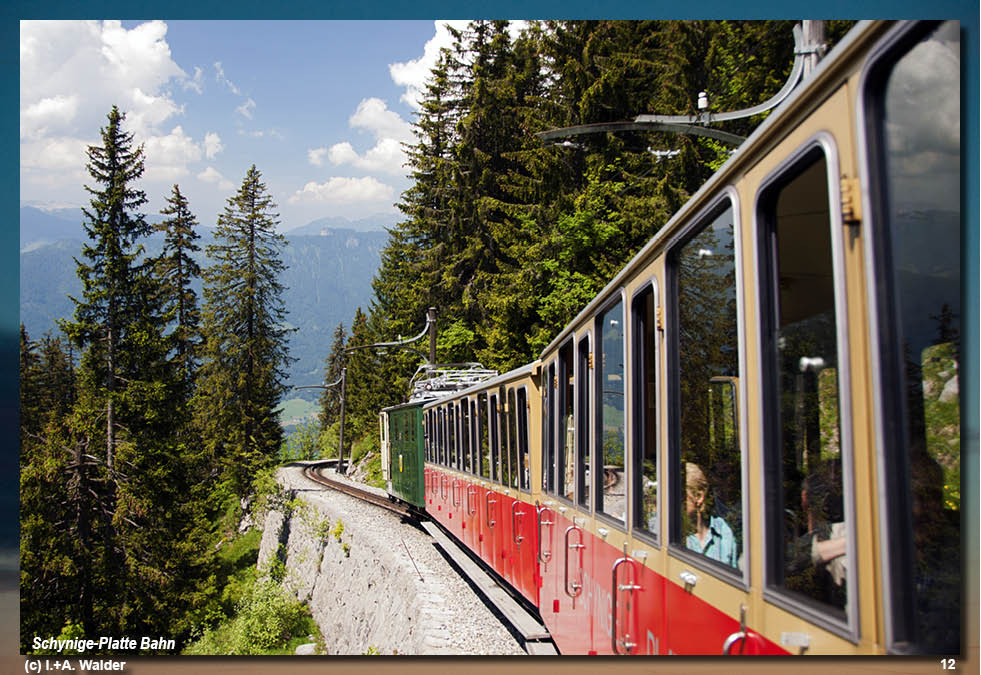 Reiseführer Schynige-Platte-Bahn