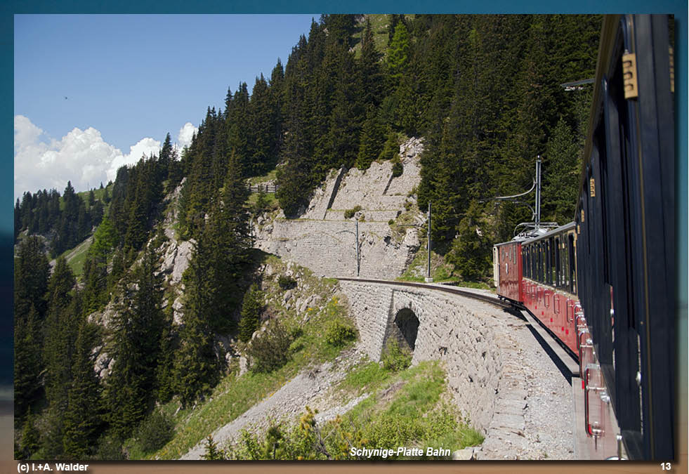 Reiseführer Schynige-Platte-Bahn