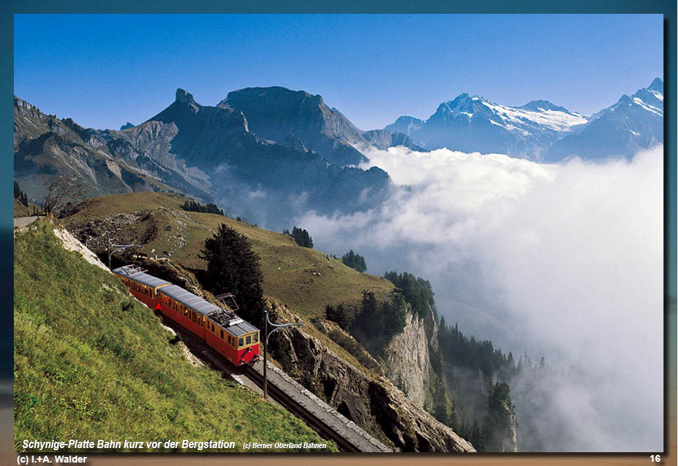 Reiseführer Schynige-Platte-Bahn