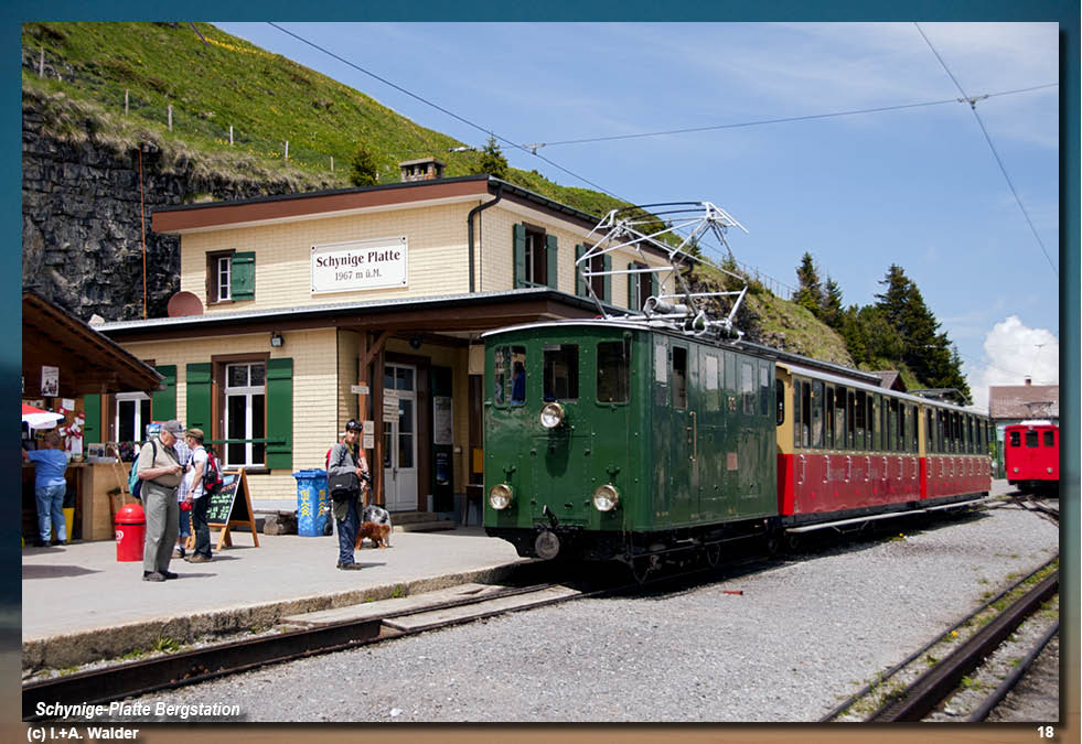 Reiseführer Schynige-Platte-Bahn