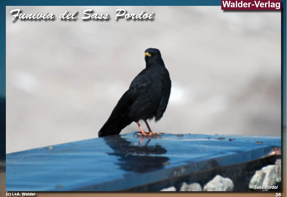 Walder-Verlag Reisetipps-Europa Reisefuehrer_I_Funivia del-Sass-Pordoi