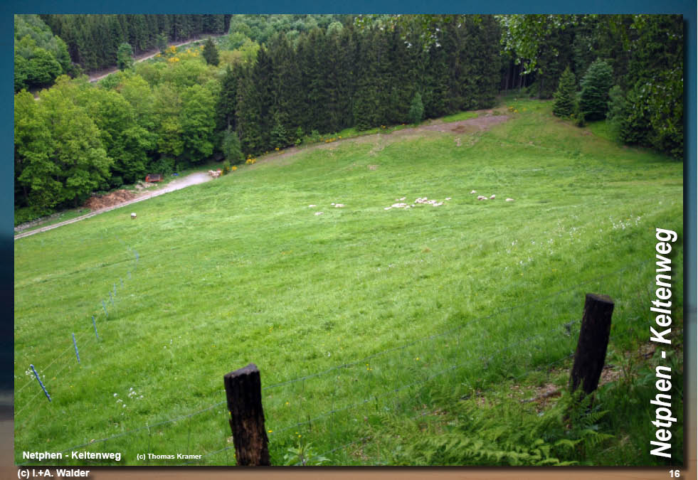 Walder-Verlag Reisetipps-Europa Wanderführer Netphener Keltenweg