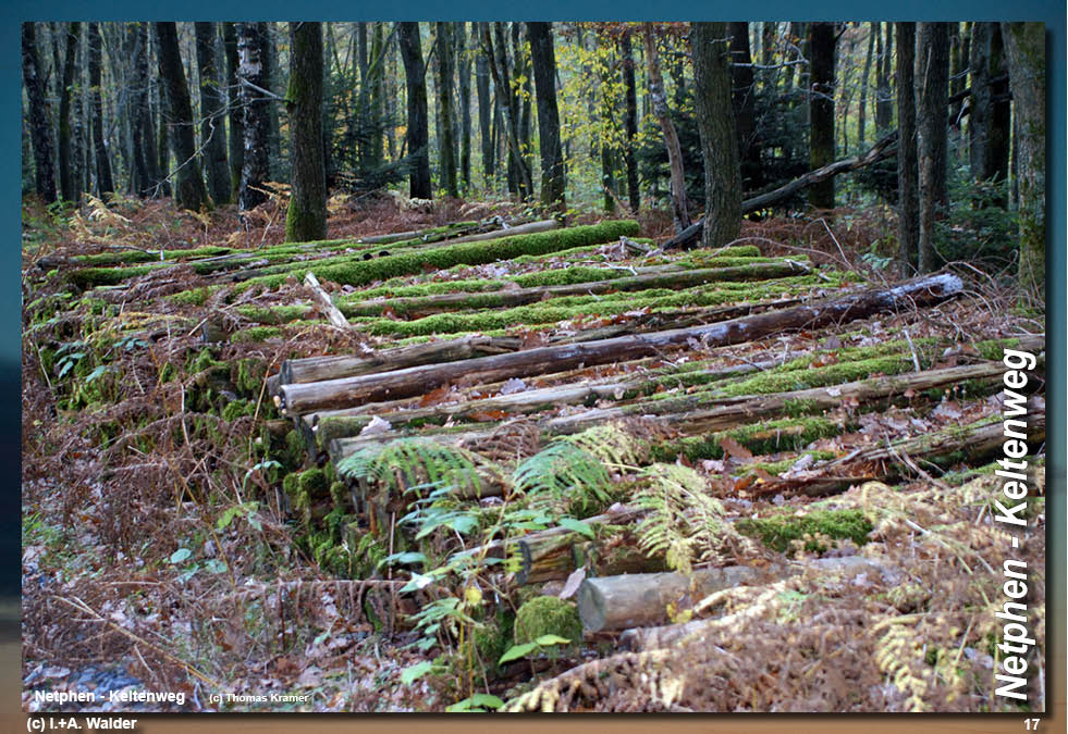 Walder-Verlag Reisetipps-Europa Wanderführer Netphener Keltenweg