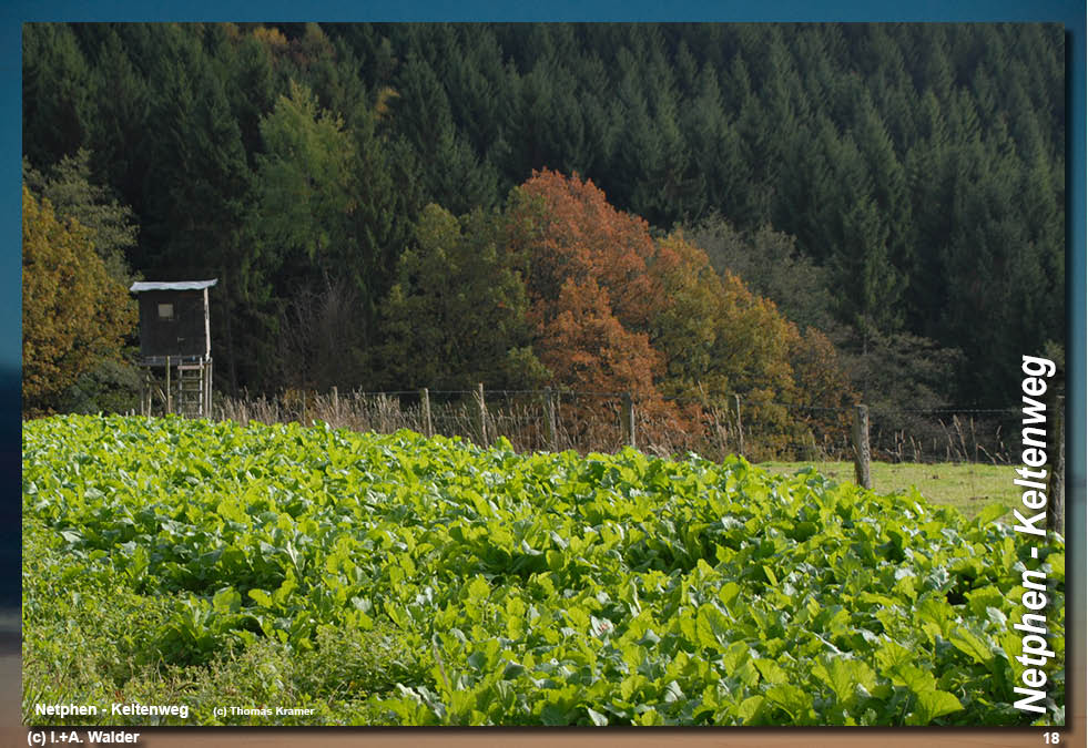 Walder-Verlag Reisetipps-Europa Wanderführer Netphener Keltenweg