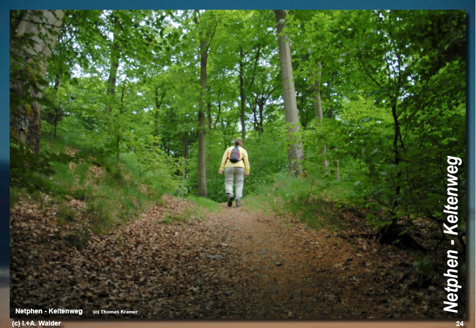 Walder-Verlag Reisetipps-Europa Wanderführer Netphener Keltenweg