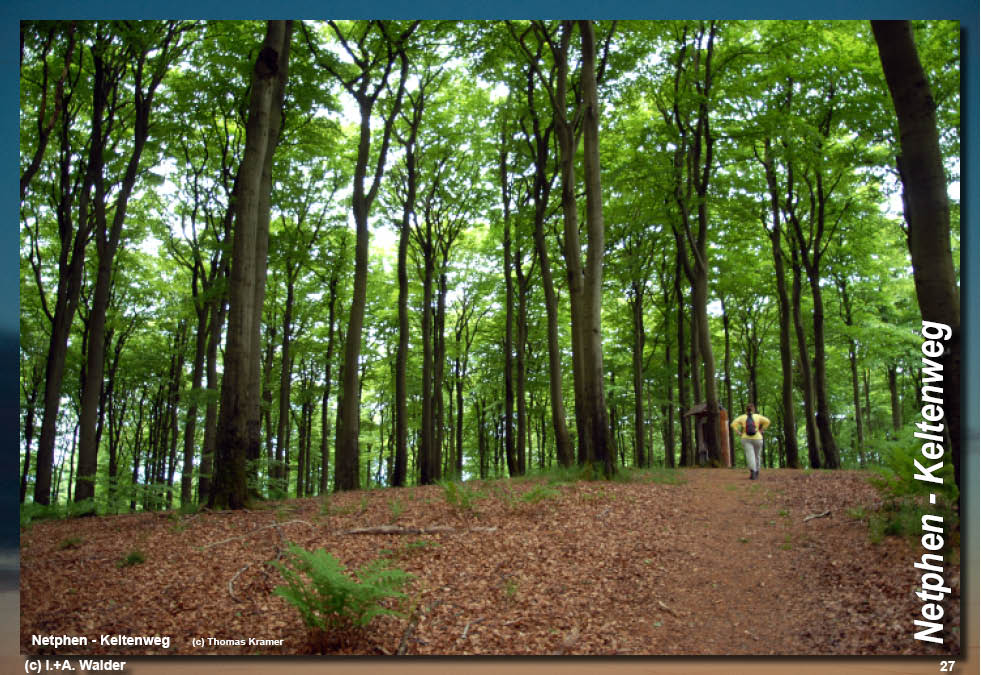 Walder-Verlag Reisetipps-Europa Wanderführer Netphener Keltenweg