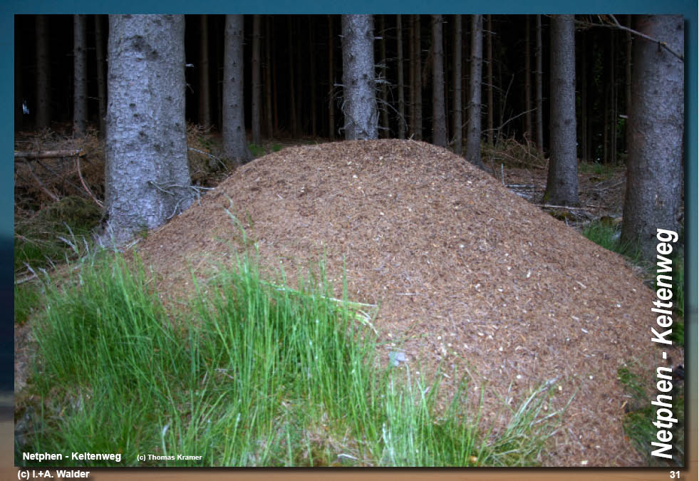 Walder-Verlag Reisetipps-Europa Wanderführer Netphener Keltenweg