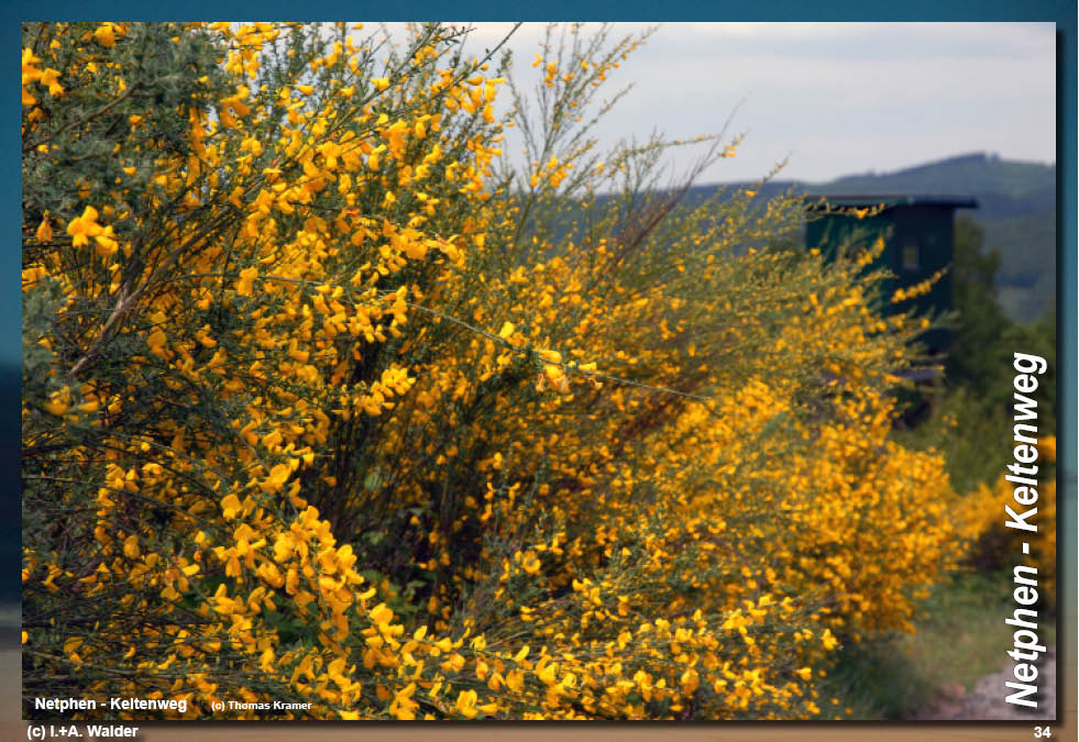 Walder-Verlag Reisetipps-Europa Wanderführer Netphener Keltenweg
