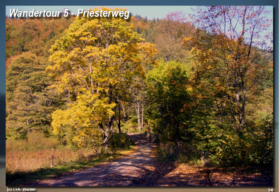Reiseführer Wandertouren in Siegerland-Wittgnenstein