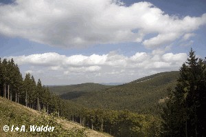 Walder-Verlag Reisetipps-Europa Wandern S&uuml;d Sauerland